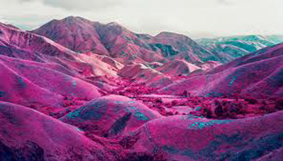 Richard Mosse Biennale de Venise 2013